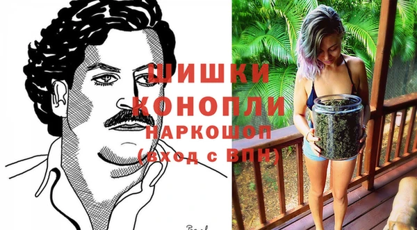 шишки Богданович