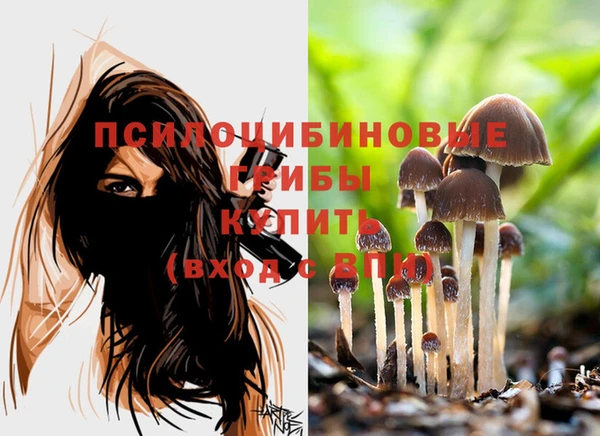 шишки Богданович