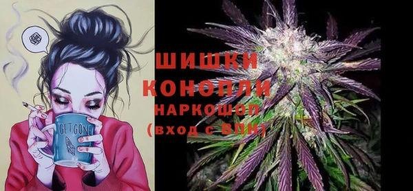 шишки Богданович