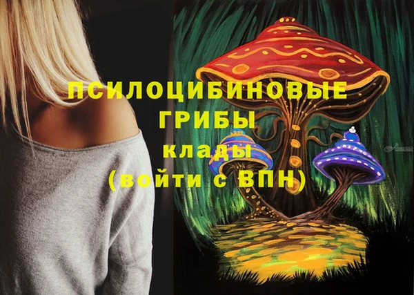 прущий лед Богородицк