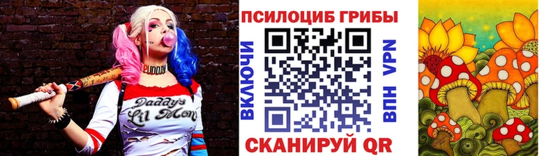 Галлюциногенные грибы Psilocybe  Купить  Няндома 